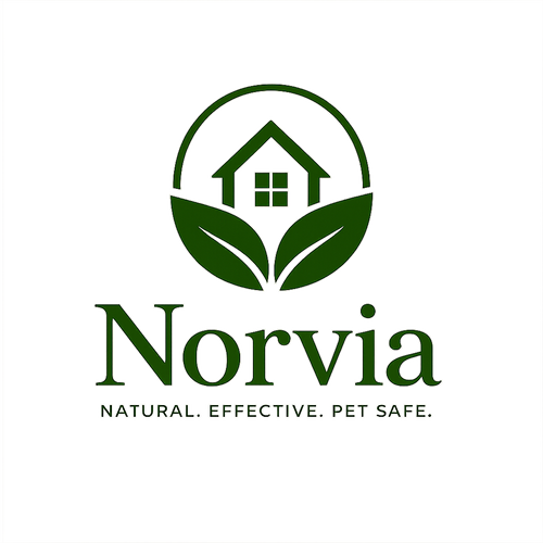 My Store